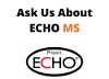 ask-us-about-echo-ms_t2_168x72.png